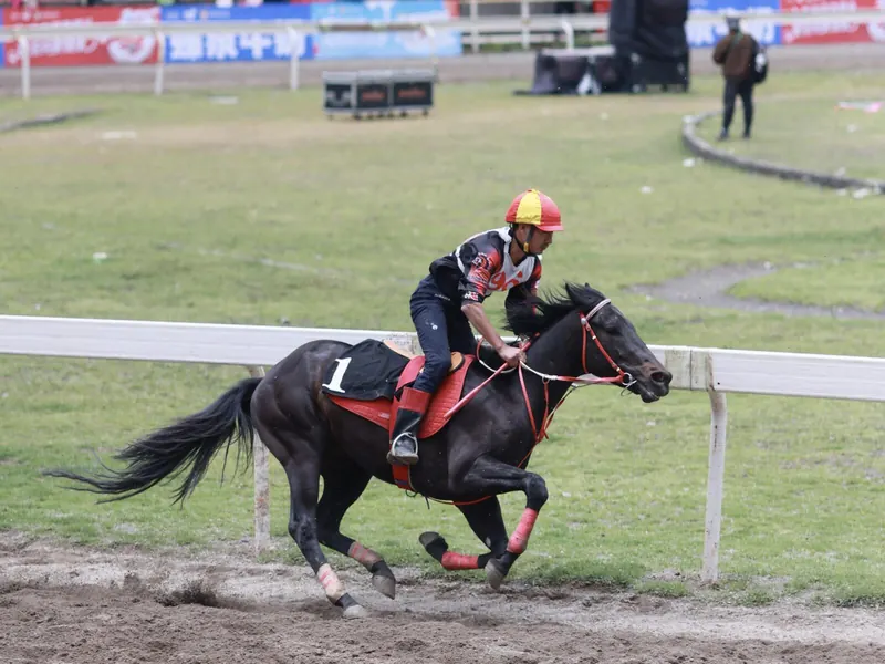 A jockey racing a horse at the Sanyue Jie festival racecourse