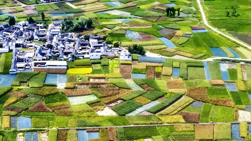 Aerial view of a Bai village among patchwork fields on the Dali plain
