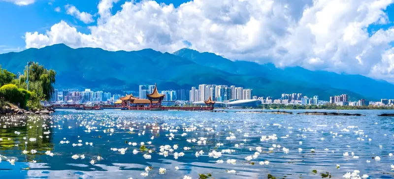 Erhai Lake with white sea-flowers, a red pavilion and the Cangshan range