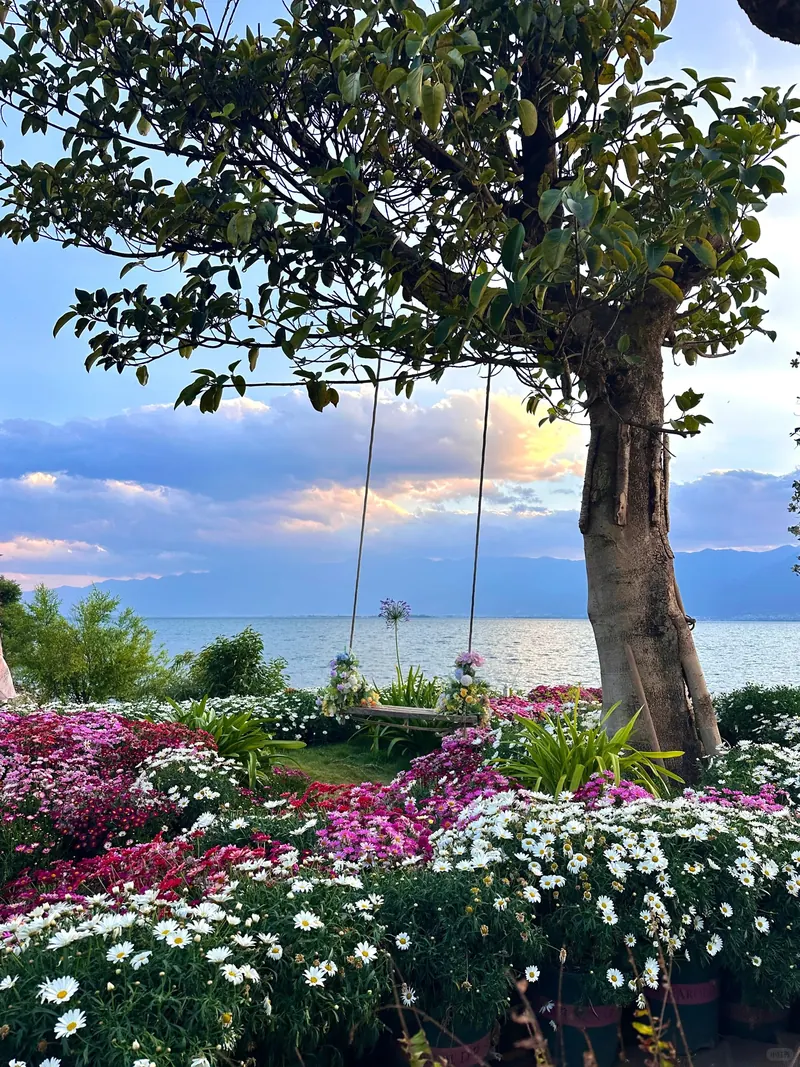 A flower swing in a lakeside garden over Erhai Lake at sunset
