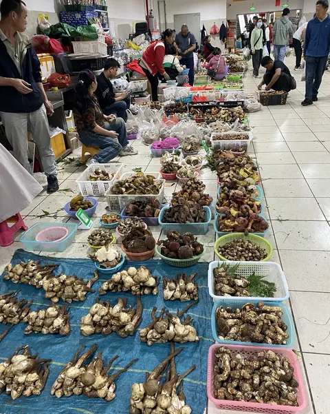 Baskets and cloths of wild mushrooms laid out on the floor of a local market hall