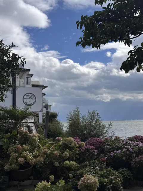 Hydrangeas and a white house on the Shuanglang waterfront