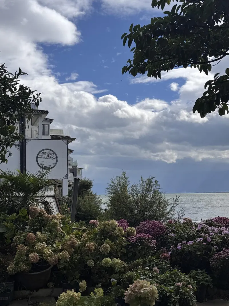 Hydrangeas and a white house on the Shuanglang waterfront