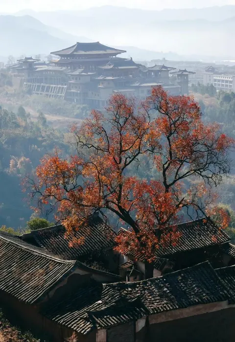 Weishan's rooftops and an autumn tree in morning mist