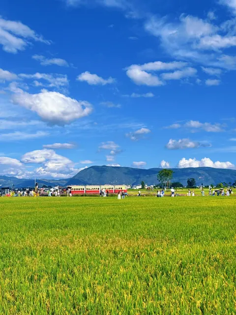 Green rice fields around Xizhou under a blue sky full of clouds