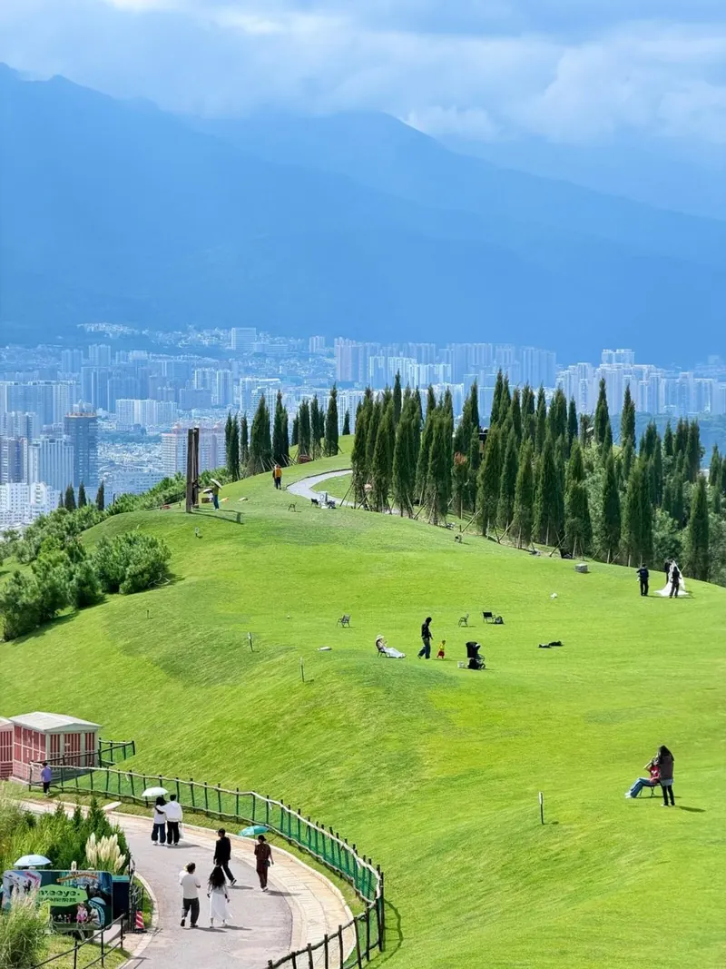 Green hilltop meadows of Yunxiangshan above the city and Erhai
